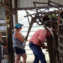 Kellie and Ben working the chute Aug 2020